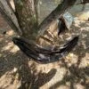 Onewind Backpacking Cover, Gear Hammock, Chair Hammock