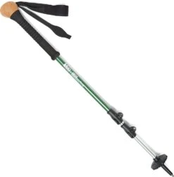 REI Hiker Shocklight Staff