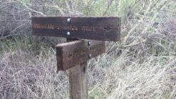 Source D|vide -Outdoor Camping Sales 20141218 160317