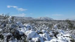 Source D|vide -Outdoor Camping Sales 20141231 121241