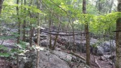 Hennessy Hammock Safari Deluxe Asym Classic 9 Hennessy Hammock Safari Deluxe Asym Classic -Outdoor Camping Sales 20150822 105858