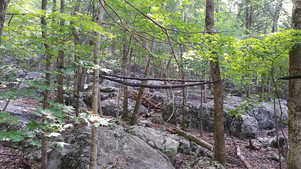 Hennessy Hammock Safari Deluxe Asym Classic 4 Hennessy Hammock Safari Deluxe Asym Classic - Image 4