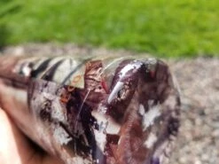 EcoVessel The Boulder Insulated -Outdoor Camping Sales 20190820 161349