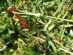 MSR Needle Tent Stakes -Outdoor Camping Sales 20210106 091650