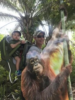 Kelty Journey PerfectFit Elite -Outdoor Camping Sales 6FE9AB1E 4466 45D6 9C60 4DAE3D566E72