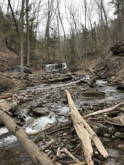 Hilleberg Kaitum 4 -Outdoor Camping Sales A6E3C575 B428 407A A392 0C4D7D759820