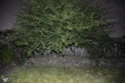 BioLite PowerLight Mini -Outdoor Camping Sales BioStill07