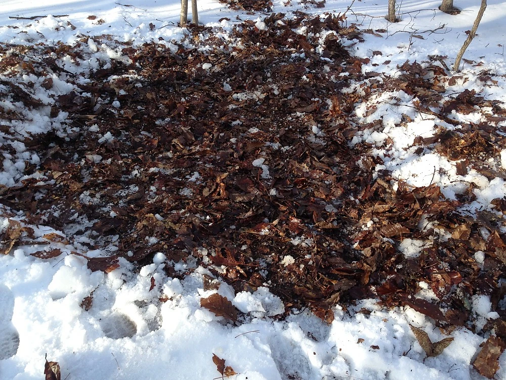 Rab Neutrino Endurance 600 12 Rab Neutrino Endurance 600 - Image 12