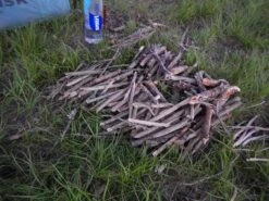 BioLite CookStove -Outdoor Camping Sales DSCN9424