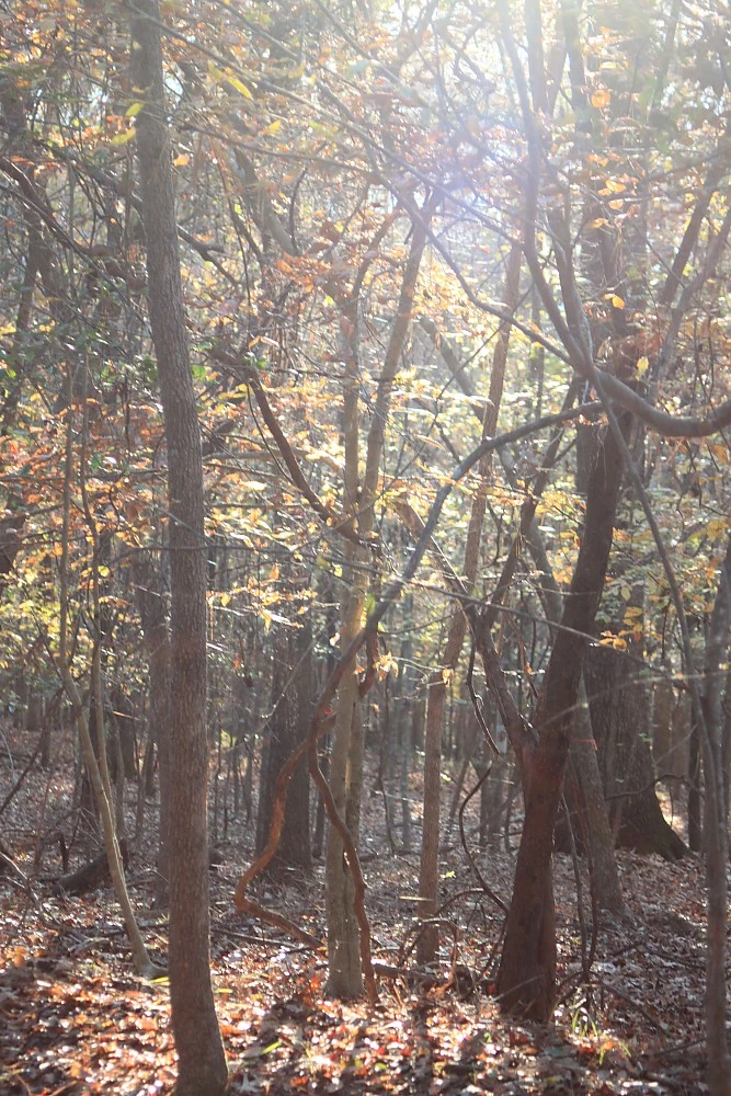 Granite Gear Vapor Current Airbeam Frame 10 Granite Gear Vapor Current Airbeam Frame - Image 10