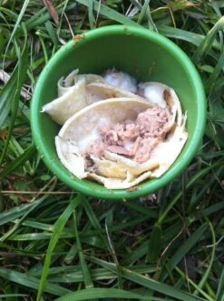 Silipint Half Pint -Outdoor Camping Sales IMG 2020