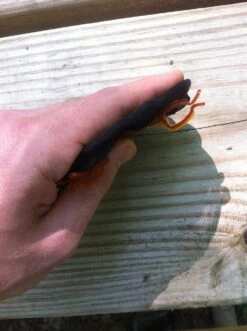 GSI Outdoors Ultralight Java Drip -Outdoor Camping Sales IMG 3119