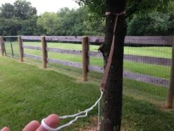 Hummingbird Hammocks Tree Straps 8 Hummingbird Hammocks Tree Straps -Outdoor Camping Sales IMG 3946 1