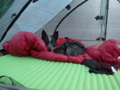 Zpacks Duplex Tent -Outdoor Camping Sales P1010508