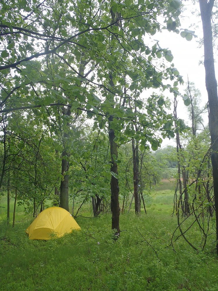 SlingFin 2Lite 6 SlingFin 2Lite - Image 6