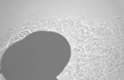 Soto WindMaster -Outdoor Camping Sales SotoSch08