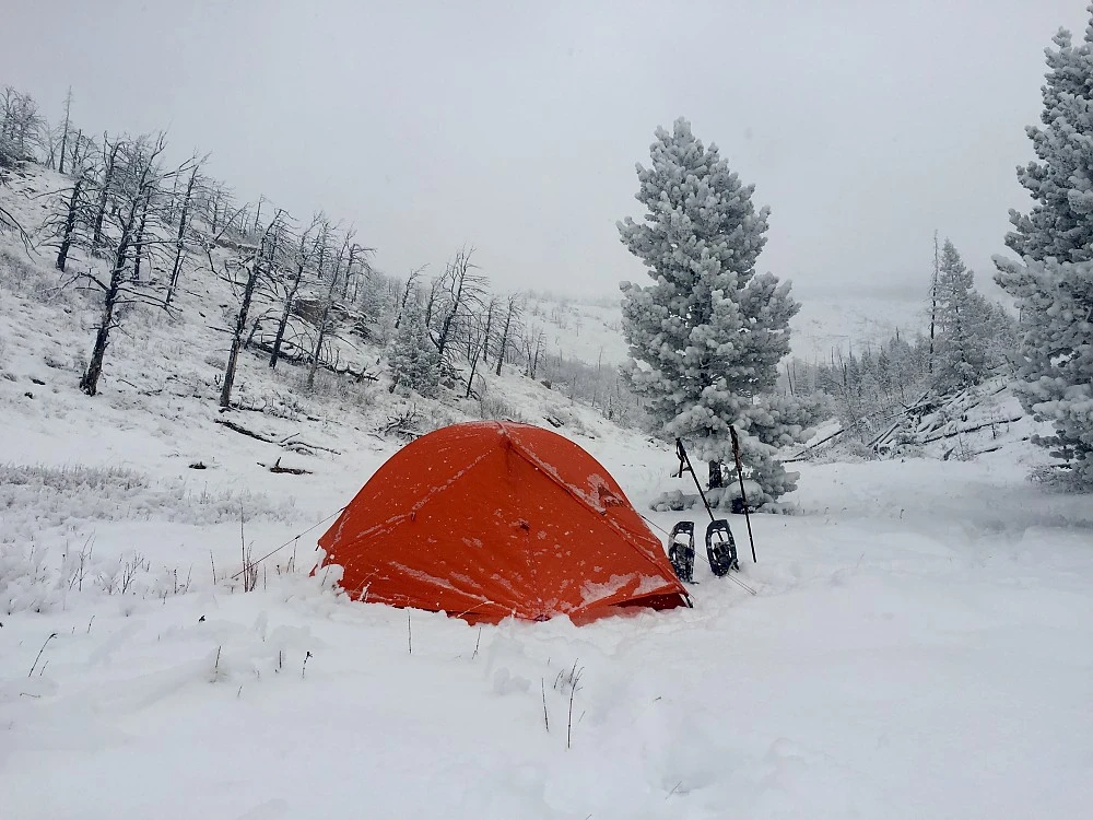 MSR Access 1 5 MSR Access 1 - Image 5