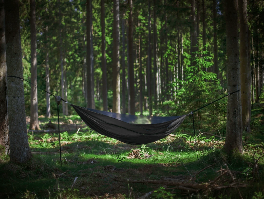 Warbonnet Original Blackbird 2 Warbonnet Original Blackbird - Image 2