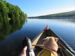 RTIC 18oz Bottle -Outdoor Camping Sales early solo june green river 26