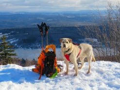 L.L.Bean Trail Model Hunting Pack -Outdoor Camping Sales feb elmore 3