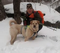 Leki Tour Stick Trigger S -Outdoor Camping Sales griff notch profile