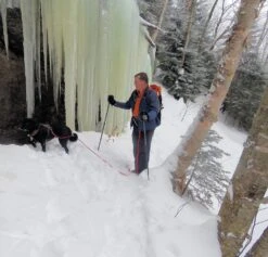 Tubbs 3-Part Snowshoe Poles -Outdoor Camping Sales laraway 25