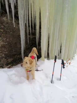 Tubbs 3-Part Snowshoe Poles -Outdoor Camping Sales laraway 9