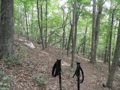 Leki Makalu Tour -Outdoor Camping Sales leki makalu trekking poles