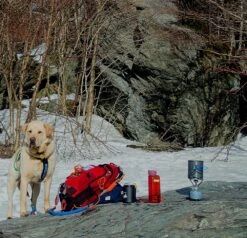 MSR PocketRocket -Outdoor Camping Sales pocket rocket