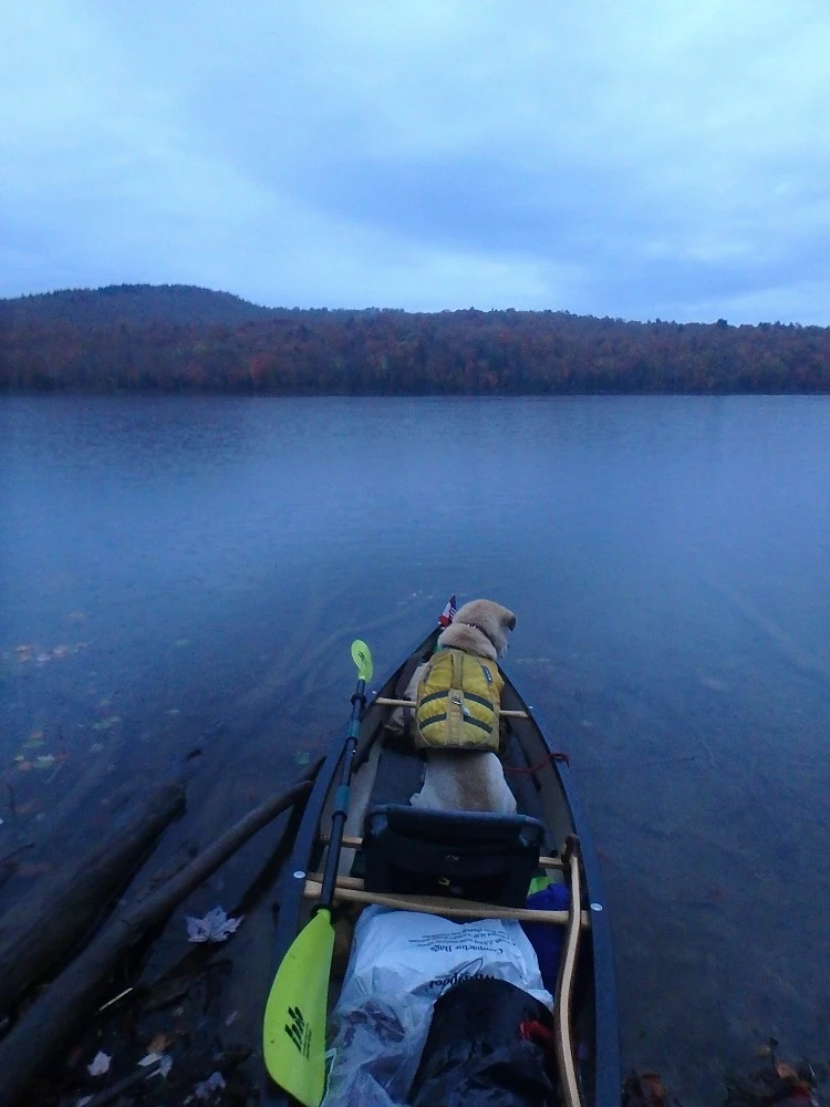 UCO Pika 3-in-1 Rechargeable Lantern 5 UCO Pika 3-in-1 Rechargeable Lantern - Image 5