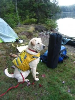 ALPS Mountaineering Lightweight Series Self Inflating Air Pads -Outdoor Camping Sales site 4 mat 1