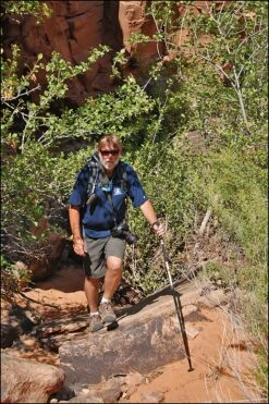 MSR Surelock UL-3 -Outdoor Camping Sales using pole